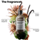 Absolut Repair Molecular Shampooing 300ml